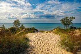 photo of the coastline in Indiana Dunes State Park