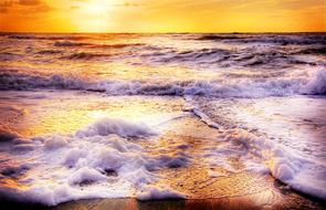 incredible Beach Wave Sun