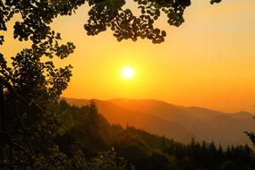 green forest on a background of mountains and yellow sunset