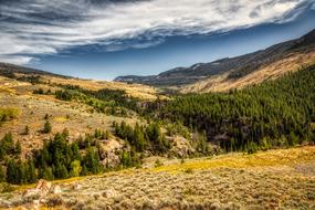 wonderful Wyoming nature