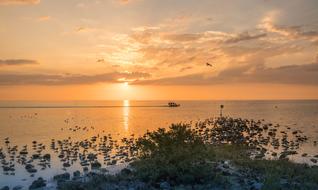 tranquil seascape, distant boat on pink water