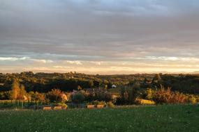summer evening in colorful scenic countryside