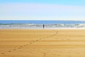 enchanting Lonely Atlantic Beach