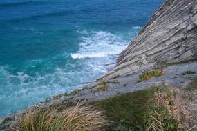 grass on cliff at Sea