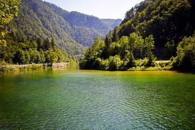 Slave River streaming at forested mountains, Slovenia