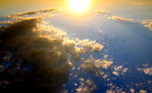 dark clouds, blue sky, flock of birds and bright sun