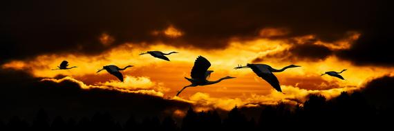 incredible Sun Clouds and birds