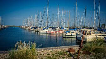 sailing Boats moored in harbor