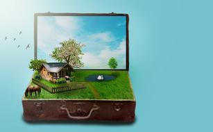 Beautiful landscape with the house near the lake, horse and fence, among the plants and flying birds, in the luggage, at turquoise background, clipart