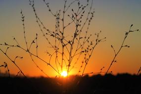 Sunset Evening Nature