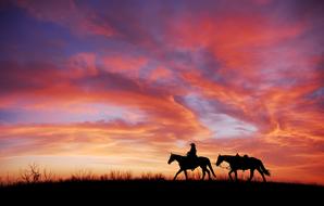 Silhouette of Cowboy at colorful sunset sky