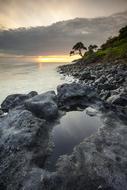 Landscape Natural