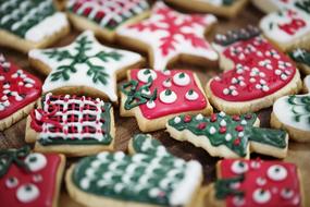 beautiful Christmas Holiday cook