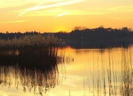 idyllic yellow sunset over the lake