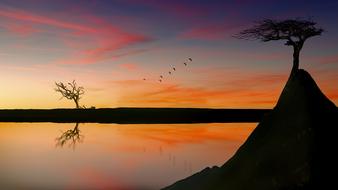 lonely tree on a rock with thawing birds over a lake on a background of colorful sky