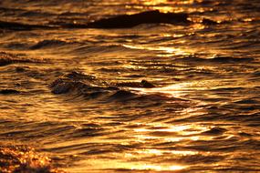 golden waves at sunset