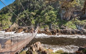 beautiful Suspension Bridge Mouth