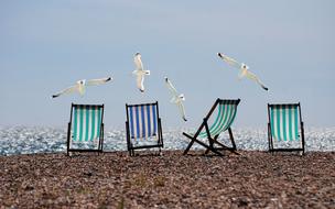 Summer Beach and birds