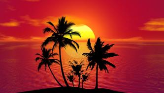 magnificent tropical summer sunset