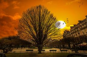 historical square in city at fall, france, Paris