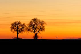 silhouettes of two bare Trees at red sunset Afterglow
