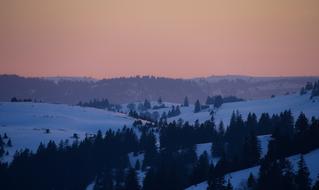beautifulSnow Forest Winter