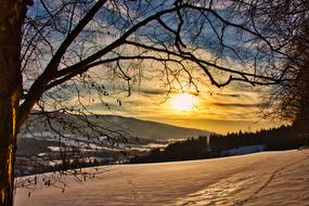 landscape of the magnificent Sunset over the Snowy Forest