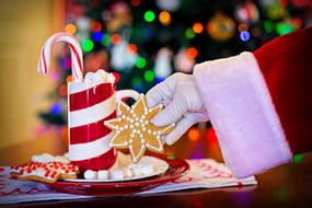 Santa Claus Cocoa Christmas