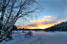 Winter Sunset behind distant forest, canada, quebec