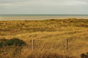 incredible Beach Dune Sand