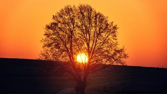 beautiful Sunset Evening
