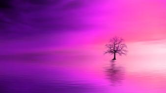 Drawing of the beautiful tree among the water at colorful, gradient dawn