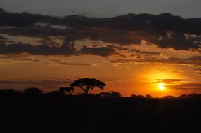 silhouettes of the landscape at sunset in kenya