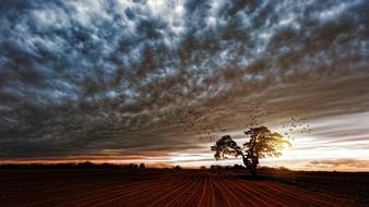 beautiful Panorama Sunset