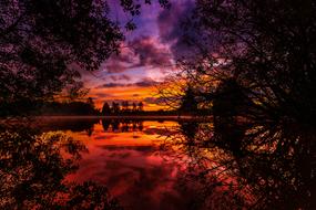 incredibly beautiful Fog Sunrise