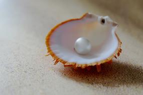 incredible Beach Pearl