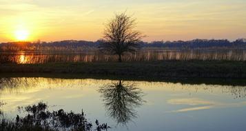 beautiful Tree Sunset Nature