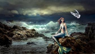 Mermaid with the white dove on the rock on the shore