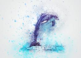 dolphin jump as a abstract drawing