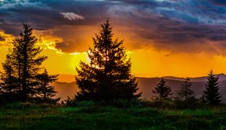 dramatic Sunset behind dark Trees