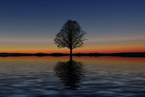 photo of a lonely tree in the middle of the lake on a sunset background