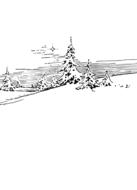 winter snow evergreen drawing