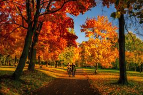 people walk in autumn colorful park in september