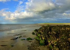 clouds over the north sea coast