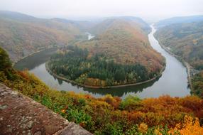 forest on the banks of the river in autumn time