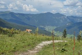Zwieselalm Mountains
