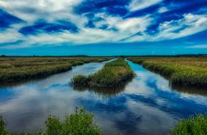 marshland in South Carolina, USA