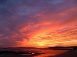 enchanting Shore Sunset