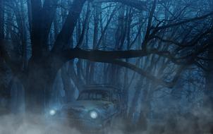 car in the forest during fog