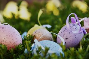 easter eggs with dots in the grass close up
